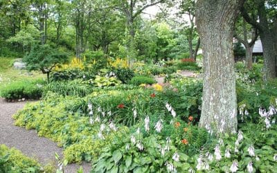 Enhance Your Outdoor Space: 5 Benefits of Hardscaping