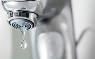 Water Testing: The Homeowner’s Guide to Safer, Cleaner Water