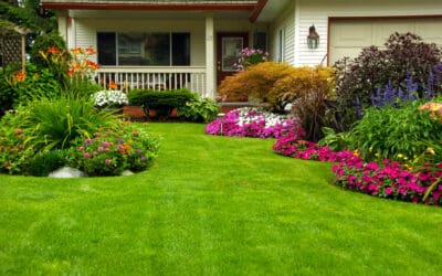 Landscape Design Secrets Every Homeowner Should Know